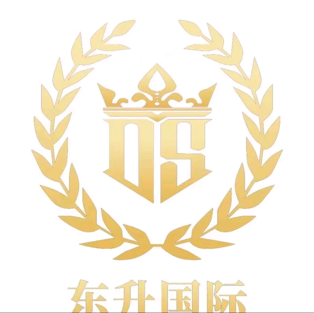 东升国际